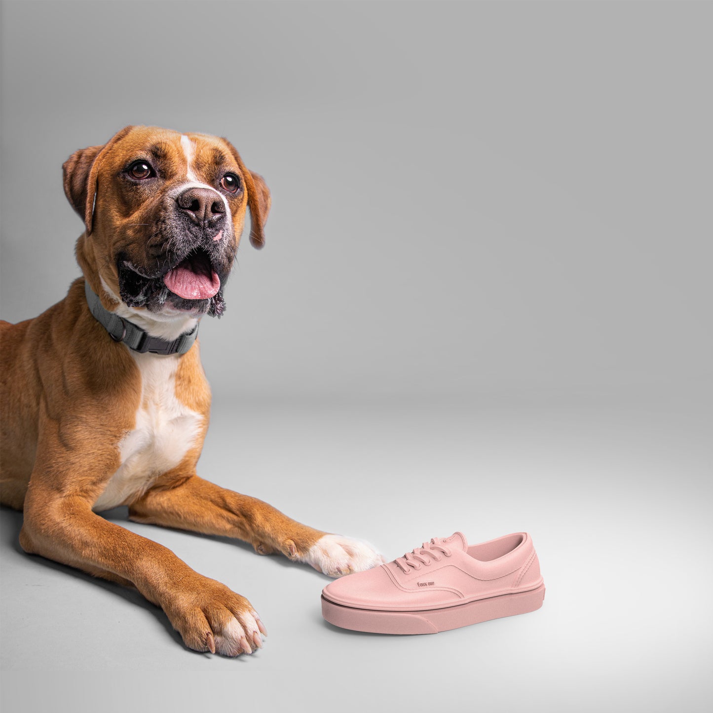 Dog Chewing Pink Sneaker Shoe Dog Chew Toy Natural Rubber