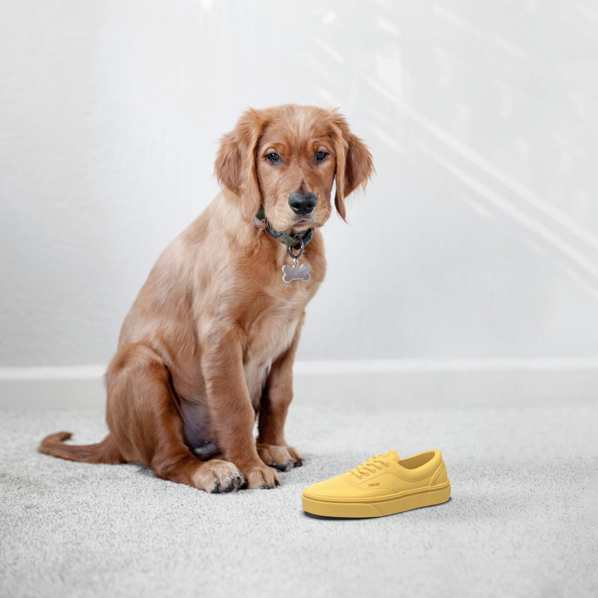 Dog Chewing Yellow Sneaker Shoe Dog Chew Toy Natural Rubber